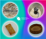 Fotografía de: investigación gastronómica contra el desperdicio alimentario | CETT
